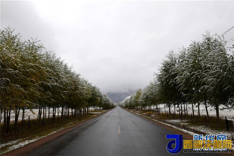 1507517769357809.jpg 4.jpg