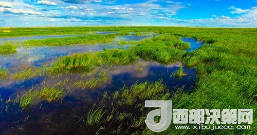 呼倫湖濕地。吳勇攝