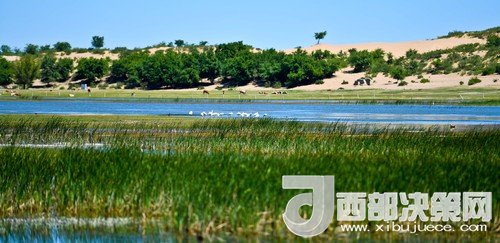 阿魯科爾沁保護(hù)區(qū)濕地沙丘。吳勇攝