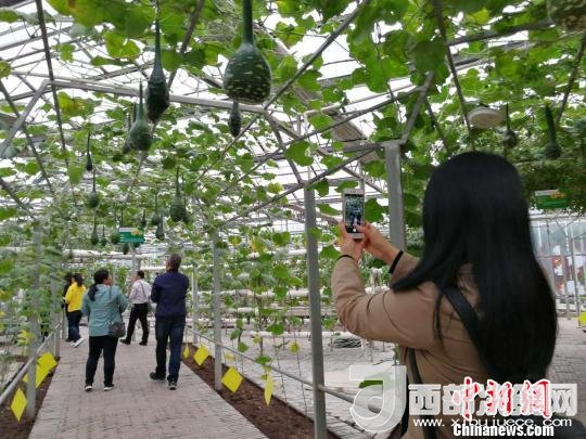 山西省郵政管理局積極推動“一市一品”農(nóng)特產(chǎn)品進(jìn)城項(xiàng)目。 資料圖 楊杰英 攝