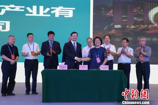 研討會現(xiàn)場圖?！■暮陚?攝