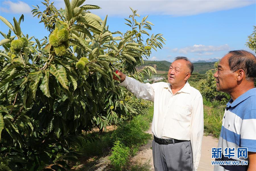 （新華全媒頭條·走向我們的小康生活·圖文互動）（11）長城腳下，小康村串成“珍珠鏈”