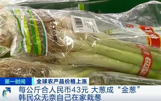 央視財經(jīng)報道截圖。