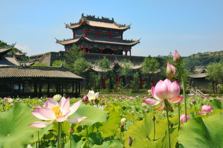 【云游渭南】心中若有桃花源，此處便是水云間！待疫情散盡，一起來渭南桃花源賞美景、觀民俗、享美食_fororder_2