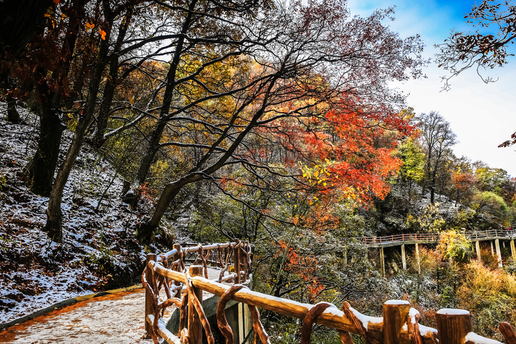 【云游渭南】待到春暖花開(kāi)之時(shí)，我們相約草長(zhǎng)鶯飛的少華山！_fororder_冬雪初吻