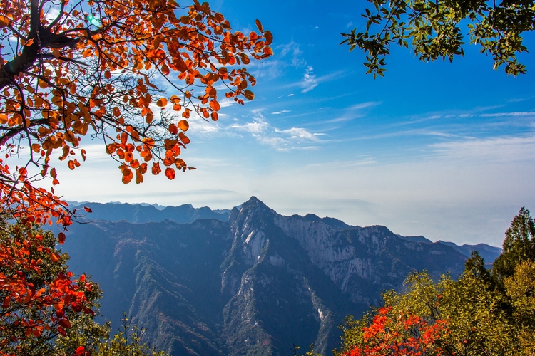 【云游渭南】待到春暖花開(kāi)之時(shí)，我們相約草長(zhǎng)鶯飛的少華山！_fororder_少華峰